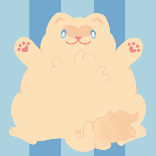Poes the Ragdoll Cat