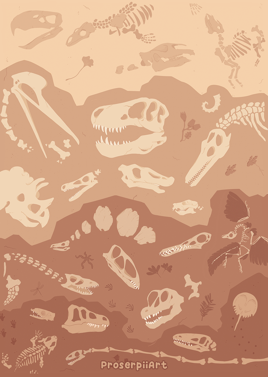 Fossils and Dinosaurs A6 Postcard Prints