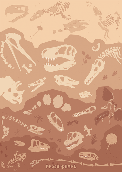 Fossils and Dinosaurs A6 Postcard Prints