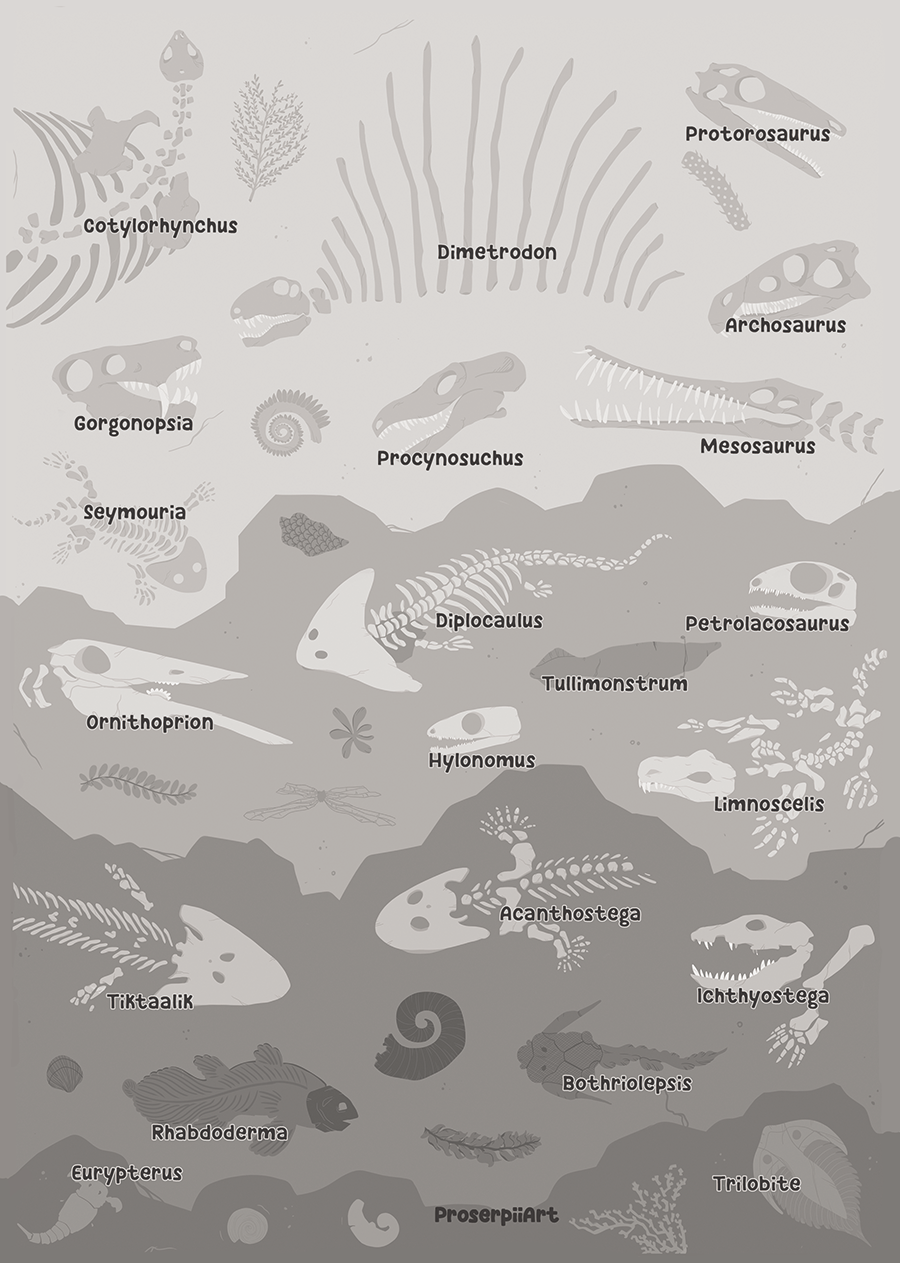 Fossils and Dinosaurs A6 Postcard Prints