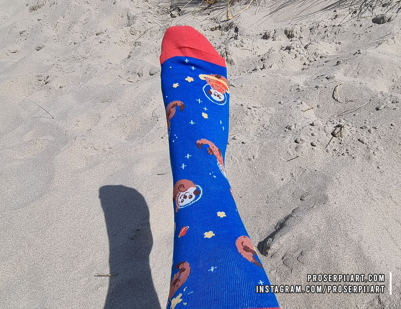 Cotton Otter Space Socks