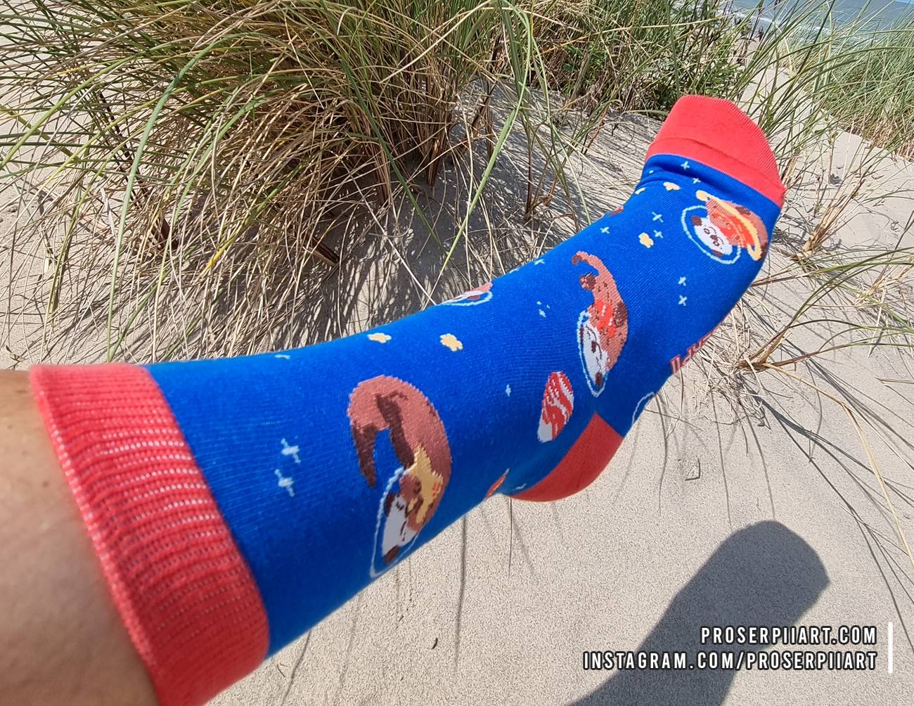 Cotton Otter Space Socks