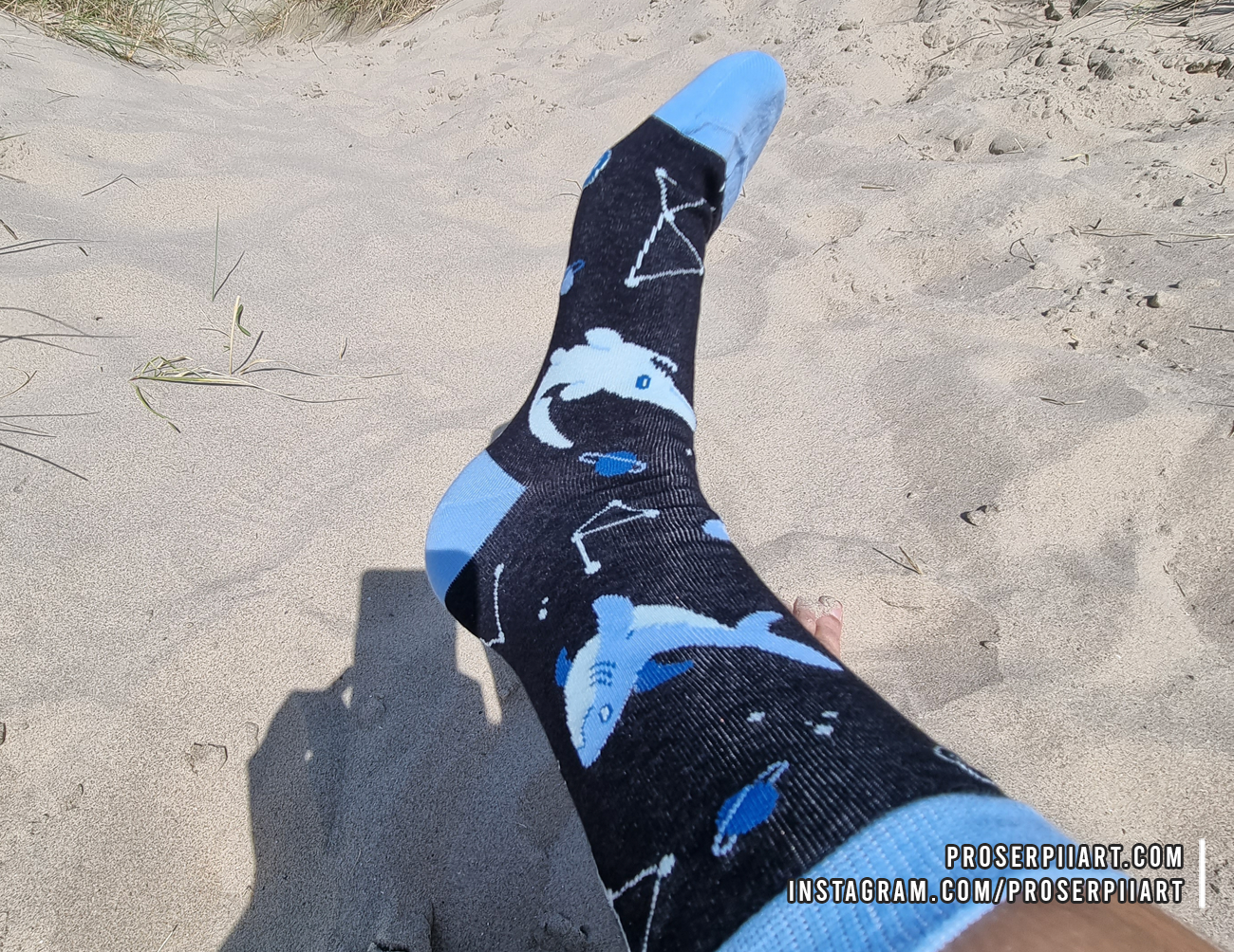 Cotton Shark Socks