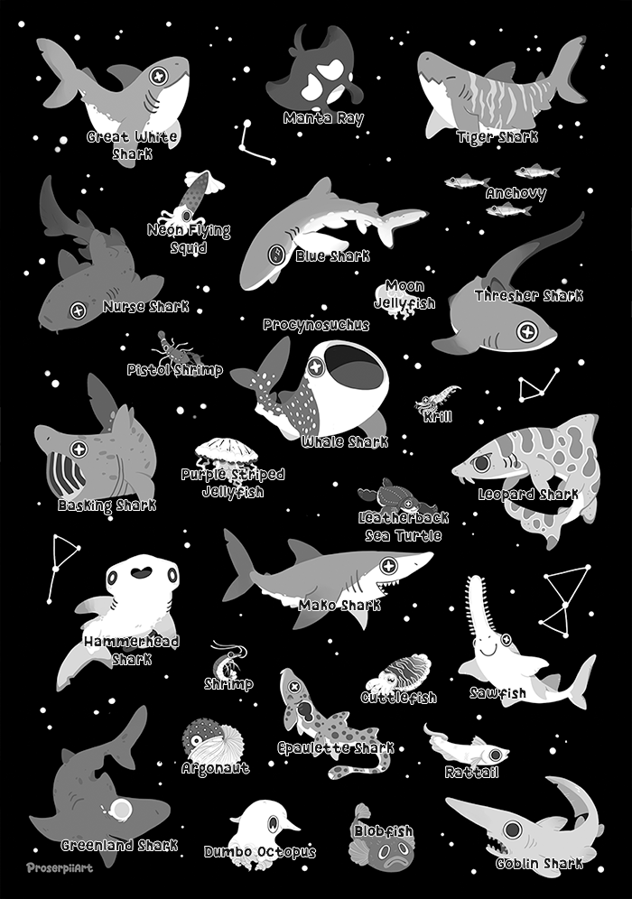 Sharks and Friends A6 Postcard Print