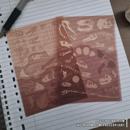 Fossils Transparent Sticker Sheets