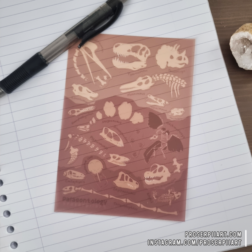 Fossils Transparent Sticker Sheets