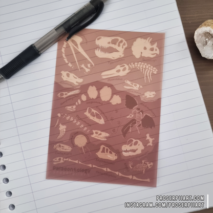 Fossils Transparent Sticker Sheets